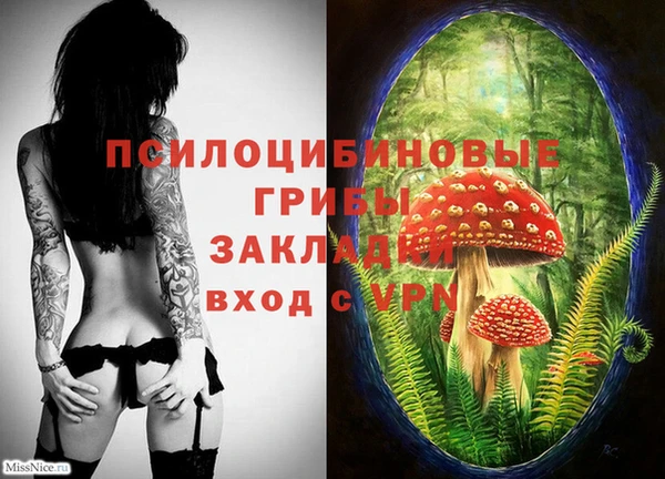 не бодяженный Корсаков