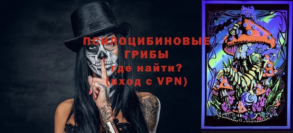 мдпв Краснотурьинск
